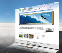 展示型網站案例:云南自由人投資有限公司