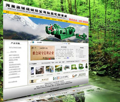 展示型網站案例:河南造紙機械總公司駐昆明辦事處