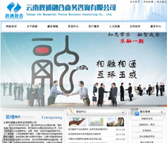 展示型網站案例:云南政通融合商務咨詢有限公司