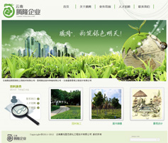 創意型網站案例:云南騰龍園藝綠化公司
