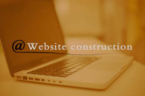 網站建設知識:昆明網站建設中幾款常見的主流網站